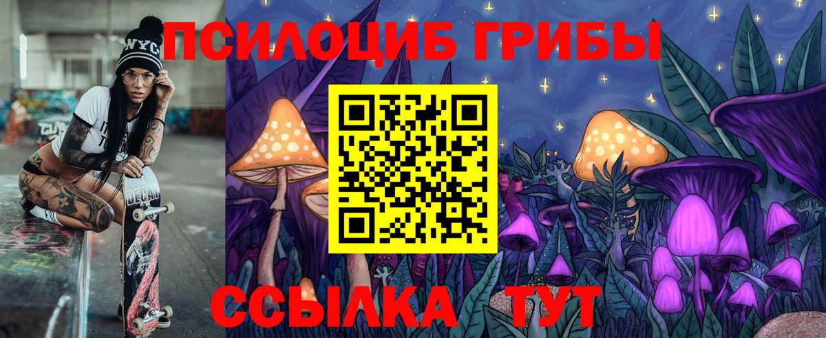 Галлюциногенные грибы Cubensis  Вход с VPN  Клин 