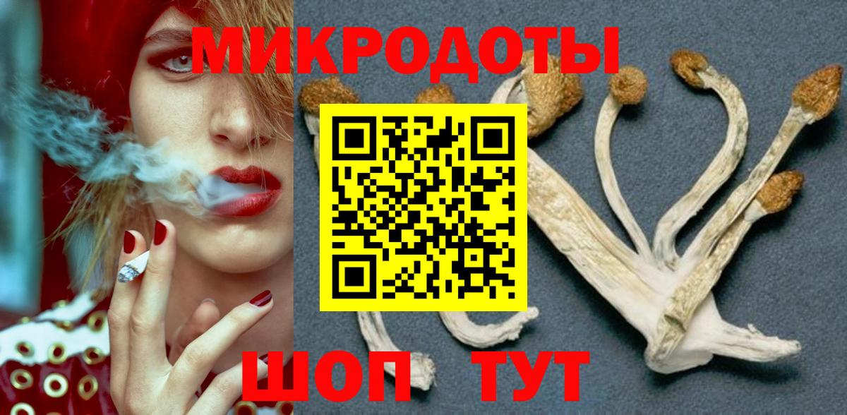 Псилоцибиновые грибы Cubensis Клин